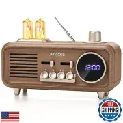 Bingxue Vintage Clock Radio FM with Bluetooth Speaker, Portable Retro Radios
