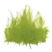 100 Pcs 3-5" Rooster Feathers Bulk Natural Feather for Crafts Green