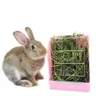 Wall-mountable Grass Holder Rabbit Hay Feeder Feeding Rack Grass Container