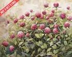 Gomphrena Globe Amaranth in a garden Watercolor 8x10 Print
