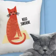 OESD Embroidery Designs "Meow You Doin?" by Jennifer Wambach - CD