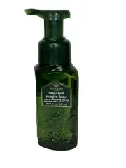 1 BATH & BODY WORKS GENTLE CLEAN FOAMING HAND SOAP Sugared Maple Lane