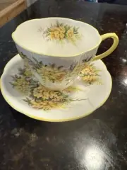 Royal Albert Bone China Blossom Time Series Laburnum Cup and Saucer