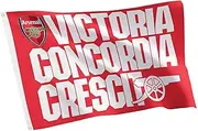 Desert Cactus Arsenal FC 100% Polyester Indoor Outdoor 3x5 feet Banner Gunners Football Soccer (Flag L)
