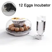 Household Small Chicken, Duck, Goose Egg Incubator Automatically Add Water Intel
