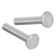 100pcs GB867 M4 Aluminum Rivets Flat Head Solid Rivet Accessories(M4 * 25)