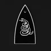 GUITAR TRUSS ROD COVER - Engraved Etch Fit ESP LTD - METALLICA Dont Tread SNAKE