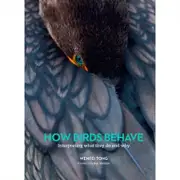 How Birds Behave