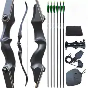 40lbs 60" Recurve Bow Set Bow Hunting Adult Shooting Target Archery Takedown