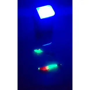 LED  UV 蓄光補光盒 補光燈 蓄光燈 夜光機 補光機 🦏犀牛釣具