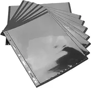 BIUDECO Pcs Stamp Collection Album Pages Postage Paper Stamps Holder Storage Supplies for Collectors