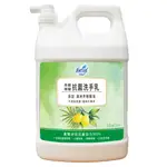 含稅附發票【史代新文具】花仙子 JJ2282YXF 1加侖 茶樹檸檬 抗菌洗手乳(1箱4桶)