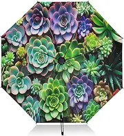 [RPLIFE] Compact Umbrella, Windproof Umbrella, Automatic Open/close, Compact Size for Women Backpacks/Handbags, Succulent Plant Colorful