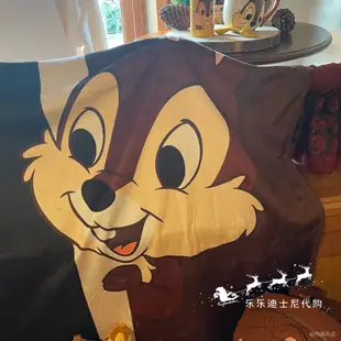 上海迪士尼樂園花栗鼠毛毯奇奇蒂蒂毛毯卡通動漫毯子居家系列