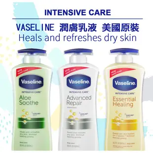 [Vaseline]凡士林身體乳液600ML(全效滋潤/蘆薈清爽/高效鎖水)黃、白、綠