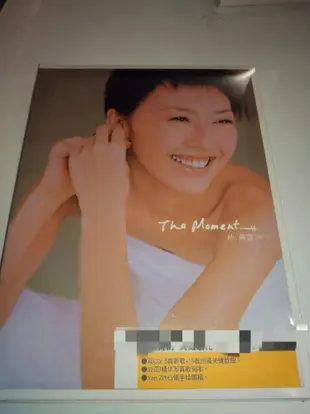 孫燕姿 The Moment 華納唱片 2CD+12卡片