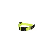 Rogz Classic Lockable Reflective Dog Collar Dayglo XS