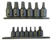 Valley 15pc Star Bit Socket Set 1/4" & 3/8"DR