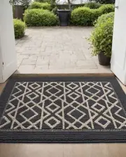 DEXI Front Door Mat 32x48 Washable Entryway Mat with Non Slip Backing Low Pro...