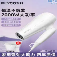 在飛比找Yahoo!奇摩拍賣優惠-飛科吹風機家用大風力負離子2000w可摺疊吹風機