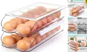Egg Holder for Fridge, Automatic Rolling Egg Container for Refrigerator,