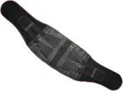 Beavorty Fitness Lumbar Support Belt Protective Waist Support for Sports Workout Gym Comfort