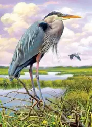 Cobble Hill Heron 1000 Piece Jigsaw Puzzle By Greg Giordano