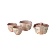 Kiyomizu-yaki SHINO HANA-MISHIMA - Teapot set(Shiboridashi&Yuzamashi&2Chawan)