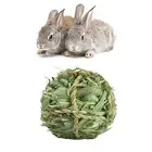 Rabbit Chew Toys Small Animal Activity Play Timothy Grass Hay Ball Cage Hanging