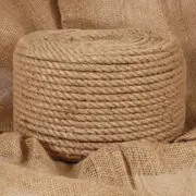 Rope 100% Jute 10 mm 250 m vidaXL
