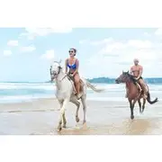 Save 5.00%! Gallop Along the Shore Horseback Riding Adventure in Puerto Plata
