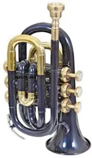 Pocket Trumpet Bb Pitch Black color come with Hardcase & Mouthpiece CASE