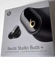 Beats by Dr. Dre MQLH3LLA Wireless Noise Cancelling Earbuds (Black/Gold)