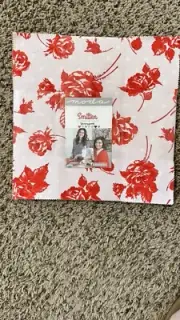 Smitten Layer Cake By Bonnie & Camille for Moda fabrics.