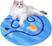 Rolling Cat Ball in Play Mat | Lightweight and Portable Play Mat,Pet Game Experience Long-Lasting Fun Supplies for Kittens Indoor