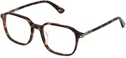 [Police] Frame VPLP13 C10Y Glossy Havana 51/18/145 Man, C10y Havana Gloss, 51/18/145