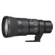 Nikon AF-S NIKKOR 500mm F5.6E PF ED VR(平行輸入).