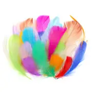 Colorful Feathers 3-5inch, 300pcs Goose Feathers Bulk, Multicolor