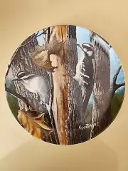 Edwin Knowles Encyclopedia Britannica Birds The Downy Woodpecker Plate