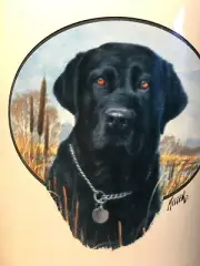 Large M Ware Coffee Soup Mug Labrador Art By Jim Killen