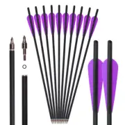 Carbon Arrows Bolts 20" 22" Screw Points Archery Bow Hunting Target
