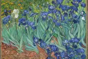 VINCENT VAN GOGH'S Irises (1889) 4x6 GLOSSY PRINTED POSTCARD