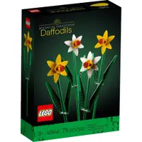 在飛比找蝦皮商城優惠-LEGO 樂高 40646 Daffodils