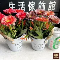 在飛比找momo購物網優惠-【PiNYU 品柚生活傢飾館】FLOWERS鐵桶假花盆(工業