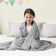 Mr. Sandman Weighted Blanket 5LBS 36 x 48 Inches, Minky Dots Heavy Blanket with Glass Beads, Soft and Cooling for School and Home, Grey