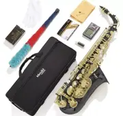 Golden Professional Alto Eb Saxophone Sax W/ Case Mouthpiece Accessories
