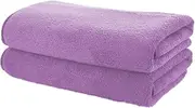 Microfibre Absorbent Gym Towel Fast Drying Light Weight - 40cm x 70cm 2 Pack - Multi Purpose (Light Purple)