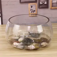 在飛比找樂天市場購物網優惠-魚缸玻璃圓形辦公桌綠蘿水培家用小魚創意透明小型迷你桌面烏龜缸