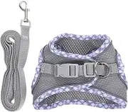 FUTUREORYY 1 Set Cute Cat Harness and Leash for Small Cats Lightweight Vest with Reflective Strips for Outdoor Walking and Running Activities XXS Grey