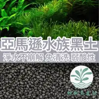 在飛比找蝦皮購物優惠-﹝神秘草森林﹞【水草專用底砂】黑土 底土 底砂 底床 水草黑